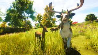 The Goat - Screenshot 1