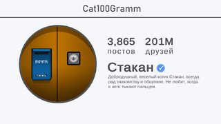 Cat100Gramm - Screenshot 2