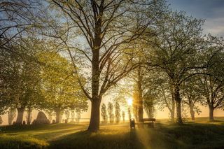 Landscape - Jigsaw Puzzles - Screenshot 3