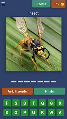 Insect Quest: Trivia Challenge - Screenshot 4