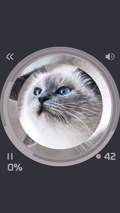 Pictu-Ring The Circle Puzzle - Screenshot 2