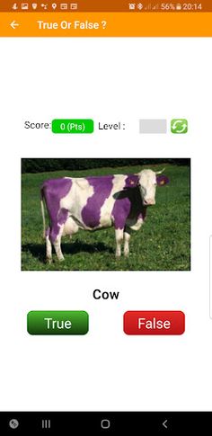 True or False Quiz- General kn - Screenshot 3