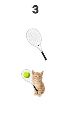 Tennis Cat - Screenshot 2