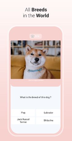Quiz Dog - Guess the breed - Screenshot 4