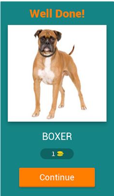 Dog Breeds trivia - Screenshot 2