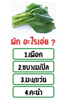 เกมทายชื่อผัก - Screenshot 2