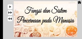 21st VIDOKI - Screenshot 3