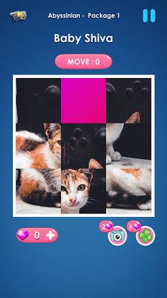 Cat slide puzzle: piece match - Screenshot 1