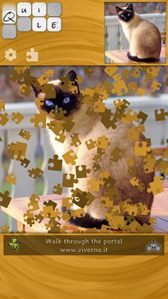 Quile - Screenshot 2