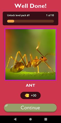 Insect Explorer Game - Screenshot 2