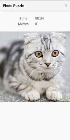 Photo Puzzle Game - Screenshot 4