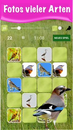 Bird Pairs - Paare Suchen - Screenshot 3