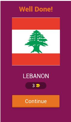 Guess The Flag - Screenshot 2