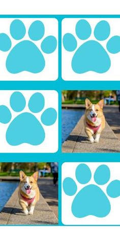 Cute Dogs Memory Game - Screenshot 3