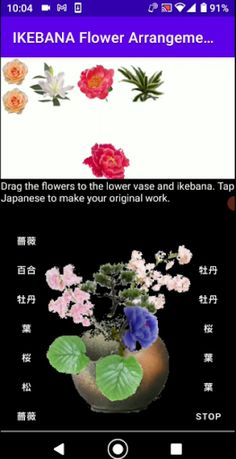 FlowerArrangement_01 - Screenshot 3