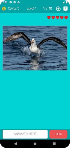 Guess Animal Name - Screenshot 2