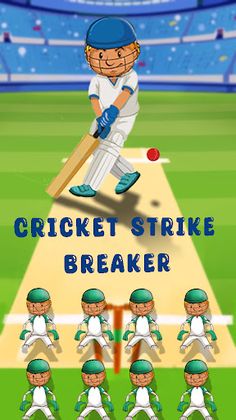 Cricket Strike Breaker - Screenshot 1
