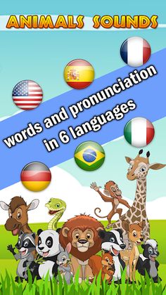 Animals names and sounds - Screenshot 1