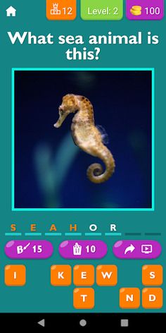 Guess The Sea Animal Game - Screenshot 3