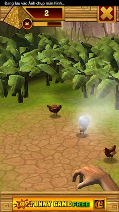 Throwing Chickens - Screenshot 3
