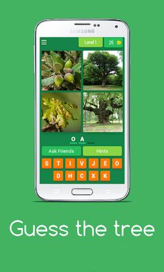 Guess the tree - Tree species  - Screenshot 1