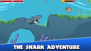 Angry Shark Summer Adventure - Screenshot 2
