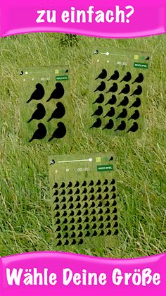 Bird Pairs - Paare Suchen - Screenshot 4