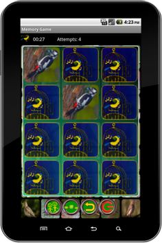 True Birds Memory Game - Screenshot 2