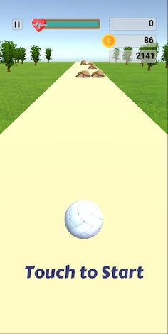 Street Ball 3D - Screenshot 2