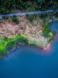 Enchanting forest - Screenshot 3