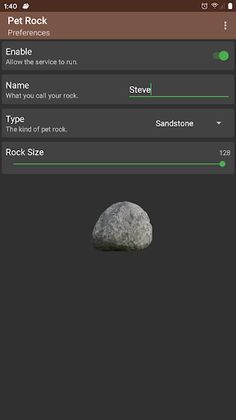 Pet Rock - Screenshot 2