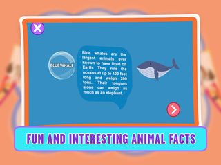 Learning Animals Coloring Book - Screenshot 3