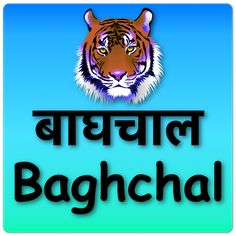Baghchal Game - Screenshot 3