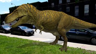 Dino Dan - Dino Cam - Screenshot 2