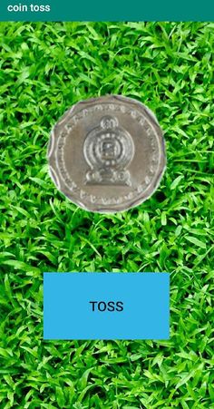 Coin toss Sri Lanka - Screenshot 1