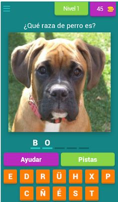 ALL QUIZ: Razas de perro - Screenshot 1