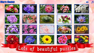 Big puzzles flowers - Screenshot 2