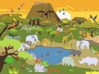 Dobby Dog hide and seek - peek - Screenshot 2