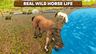 Wild Horse Family Survival - Screenshot 2