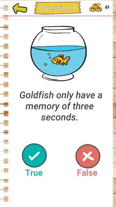 Zaqa Brain - Trivia & Memory G - Screenshot 4