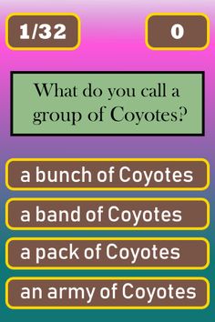 Groupa Trivia - Name that Grou - Screenshot 2