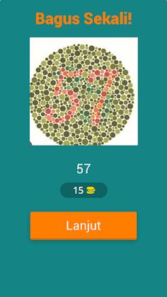 Tes buta warna terlengkap - Screenshot 2