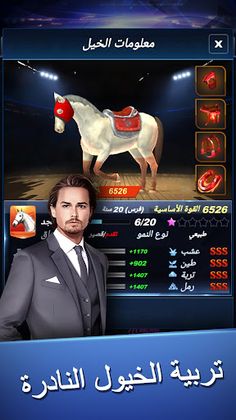 أسطورة الفروسية - Screenshot 2