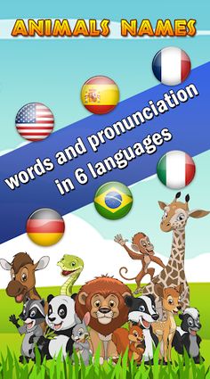 Guess animal sounds and names - Screenshot 1