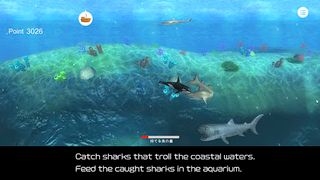 Orca  and marine mammals - Screenshot 2