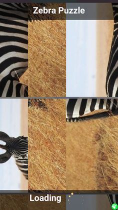 Zebra Puzzle - Screenshot 2