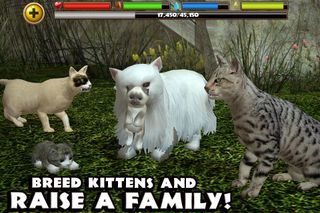 Stray Cat Simulator - Screenshot 2