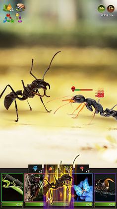Insects Puzzles - Screenshot 2