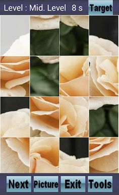 Smart Puzzle Picture - Screenshot 1