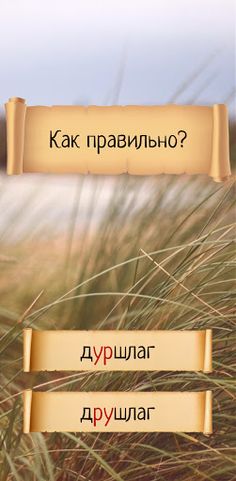 Как правильно? - Screenshot 2